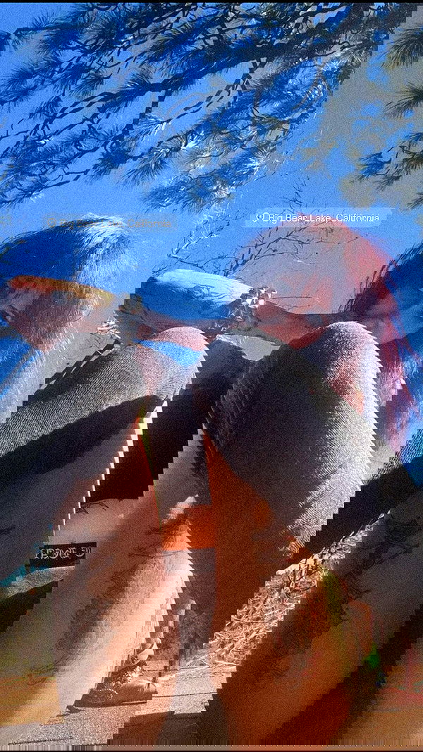 zommmbri image ~ Altpins