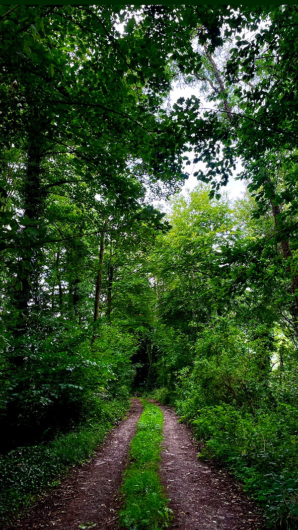 mollieruck instagram image archive image