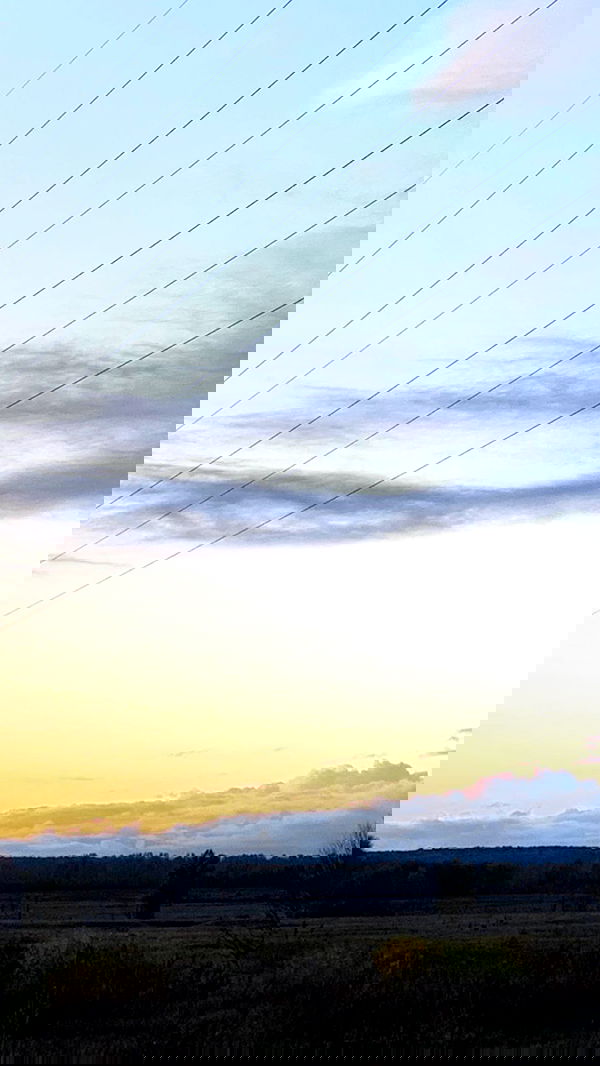 nyityam nyityam archive image