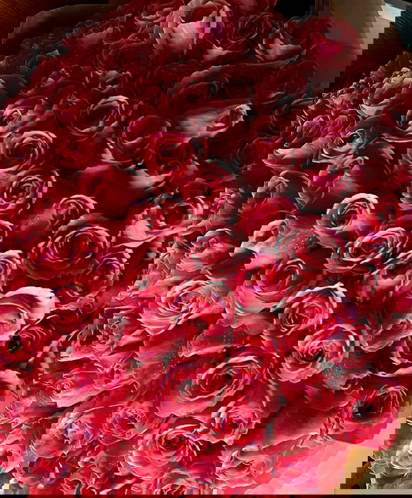 shira_adar_ shira_adar_ archive image