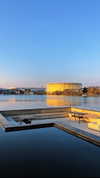 nikoleta.milenova Altpins Profile Picture