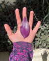 petite.carrot Altpins Profile Picture