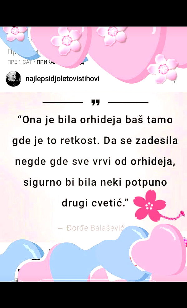 marijana_t__ instagram image archive image