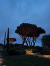 nomagdalina Altpins Profile Picture