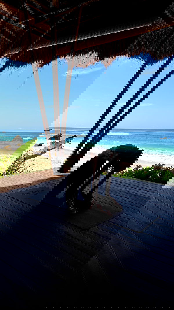 taylor.creeden taylor.creeden archive image