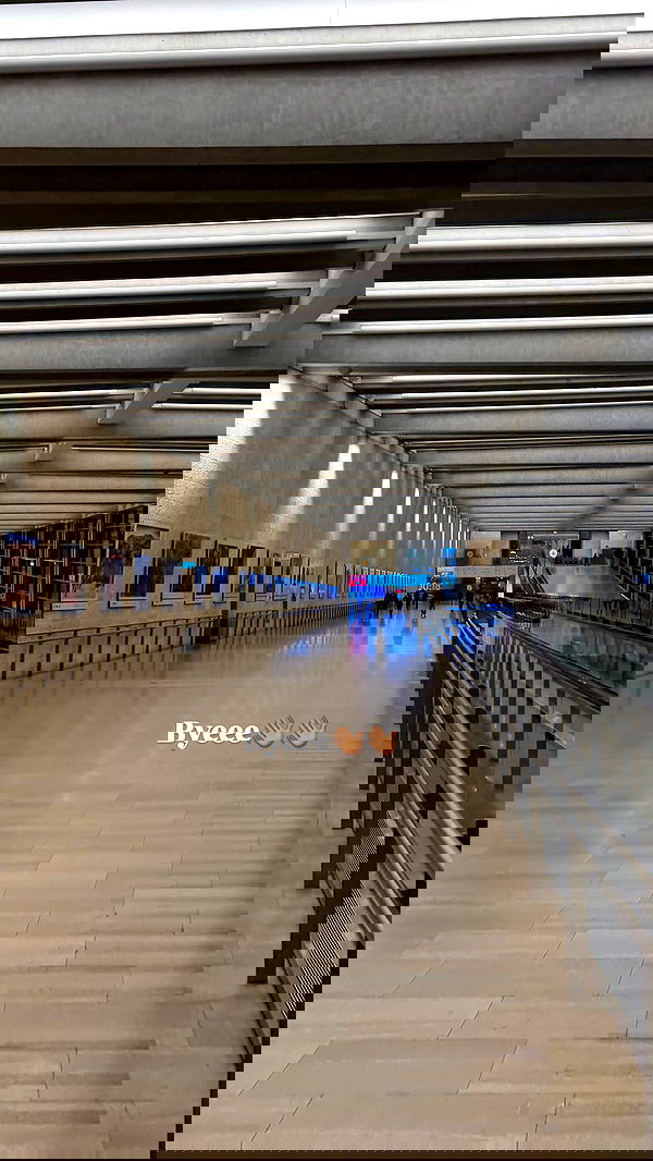 alice.skym alice.skym archive image