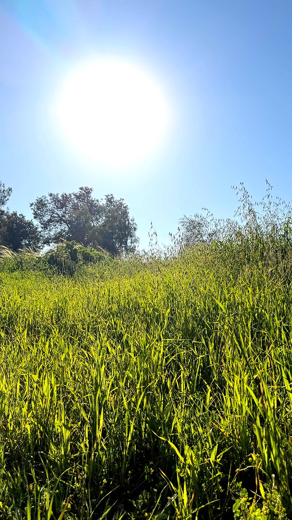efrat_elmalich instagram image archive image