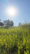 efrat_elmalich Altpins Profile Picture