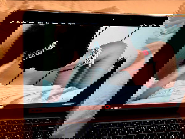 pollcherri pollcherri archive image