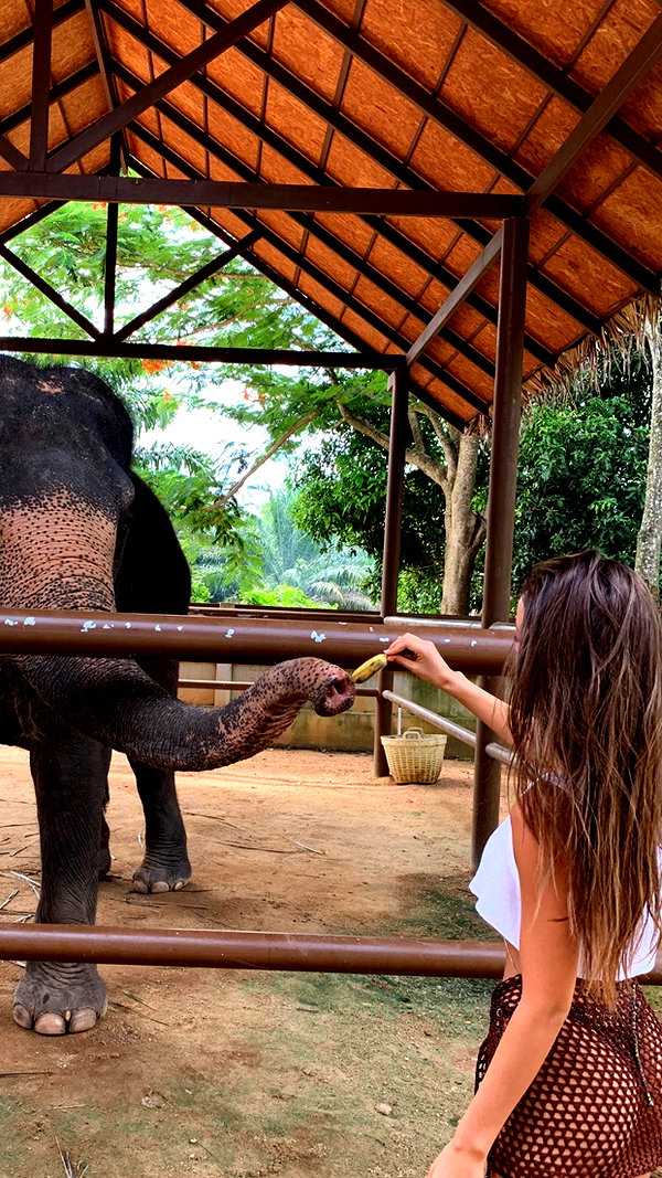 neta_alchimister instagram image archive image
