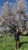 _hilaluu Altpins Profile Picture