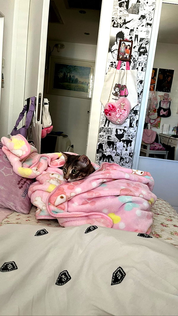 Archived image from @notchicore on Instagram