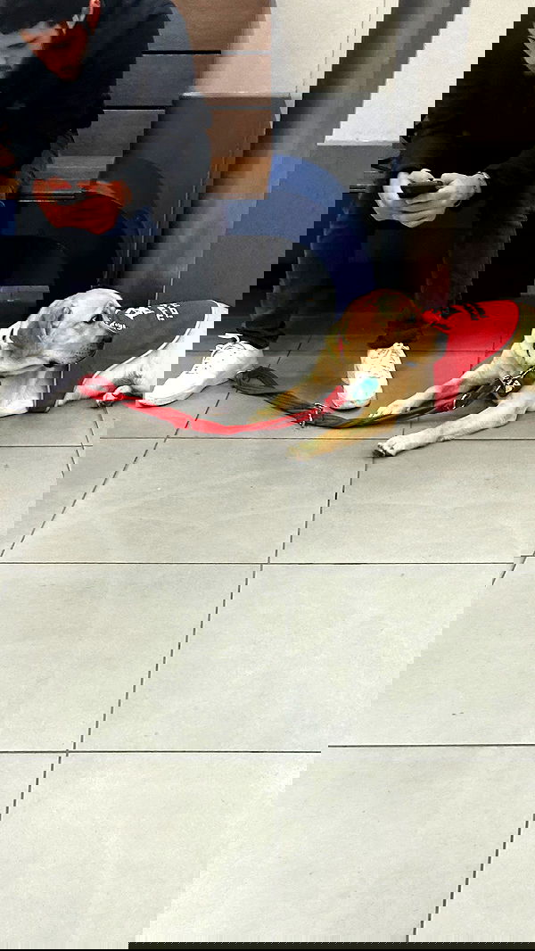 feelbetterinmysweater feelbetterinmysweater archive image