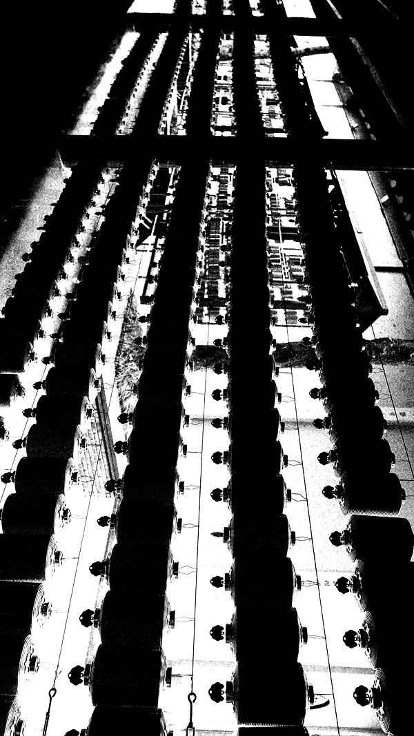 dwpolin archive image