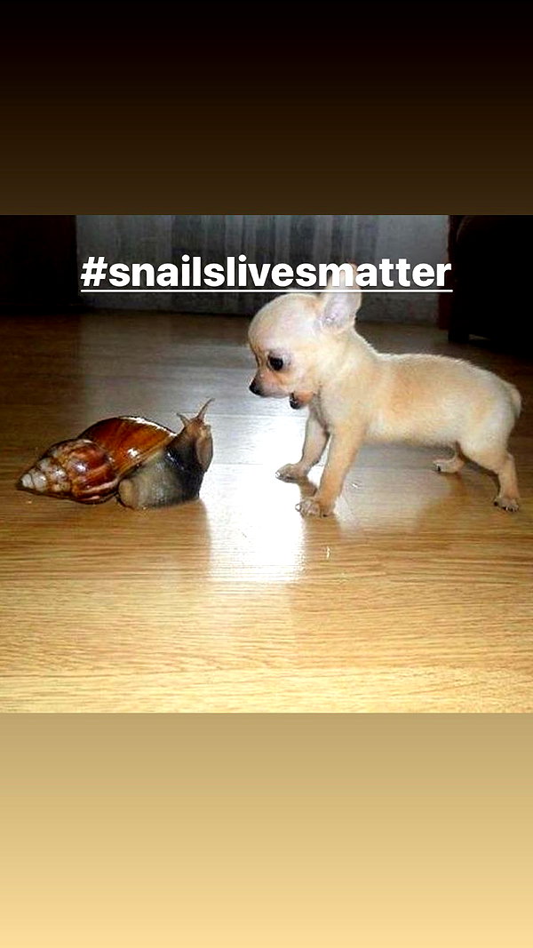 babynympho_archive instagram image archive image