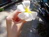 jiw_____n Altpins Profile Picture