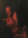 shayli_or Altpins Profile Picture