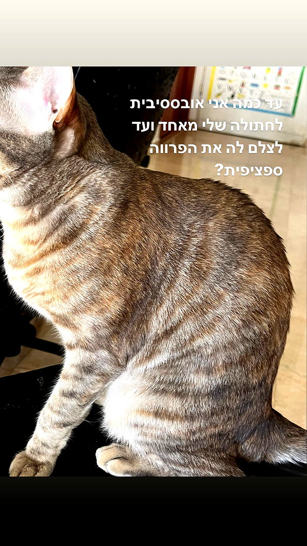 Archived image from @notchicore on Instagram