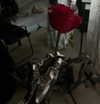 raay.seen Altpins Profile Picture