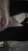 veildose Altpins Profile Picture
