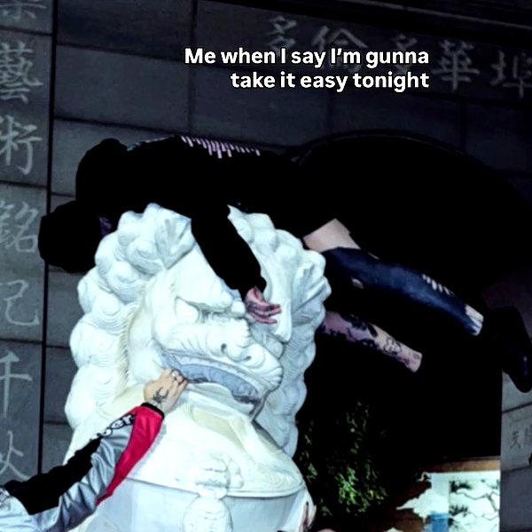 taxevasionkoala instagram image archive image