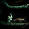 muze Altpins Profile Picture