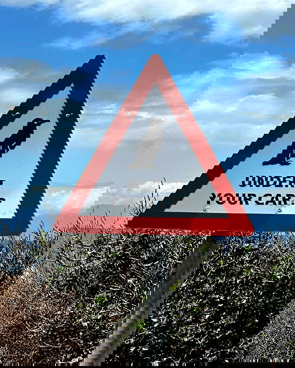 taylor.creeden taylor.creeden archive image