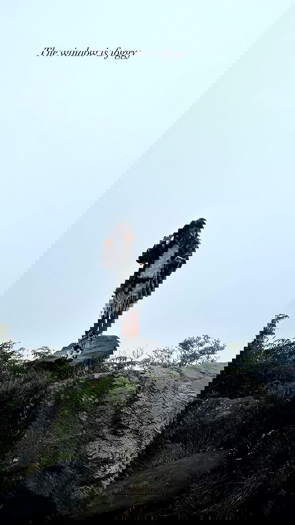 taylor.creeden taylor.creeden archive image