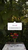nyiityam Altpins Profile Picture