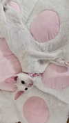 fallen.angel2007 Altpins Profile Picture
