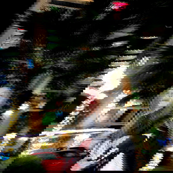 pinx_ir pinx_ir archive image