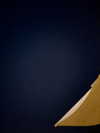 tsarbayeva Altpins Profile Picture