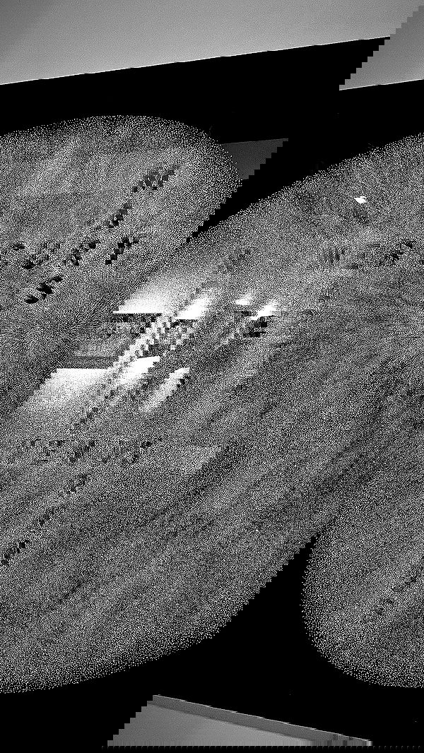 taylor.creeden taylor.creeden archive image