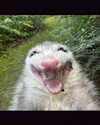 ellaexplicit_ Altpins Profile Picture