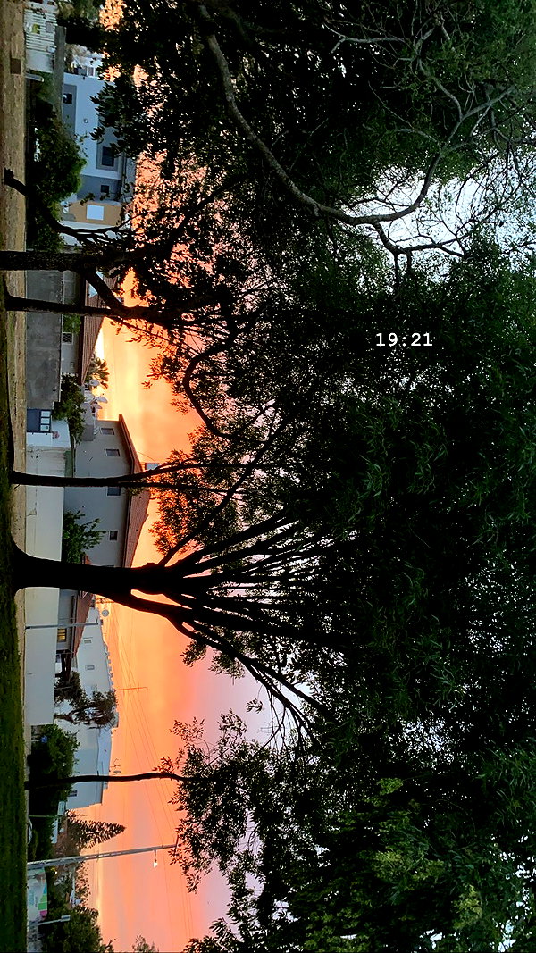 shaharo__._ instagram image archive image