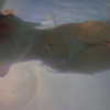 livia._.paige Altpins Profile Picture