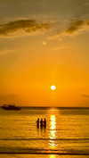shirakor_ Altpins Profile Picture