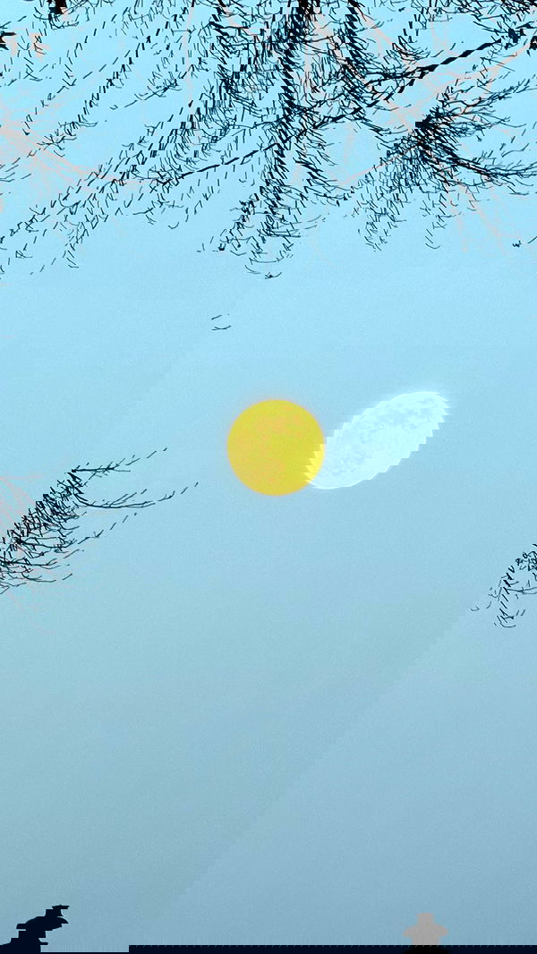 taylor.creeden taylor.creeden archive image