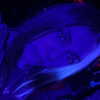 ayash.hila Altpins Profile Picture