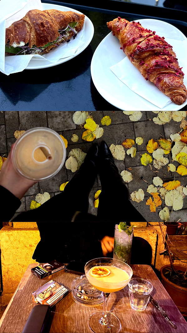 borkwsmh instagram image archive image