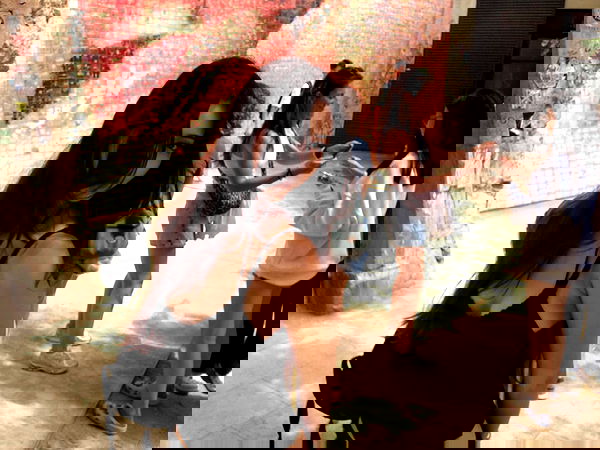 veiyul veiyul archive image