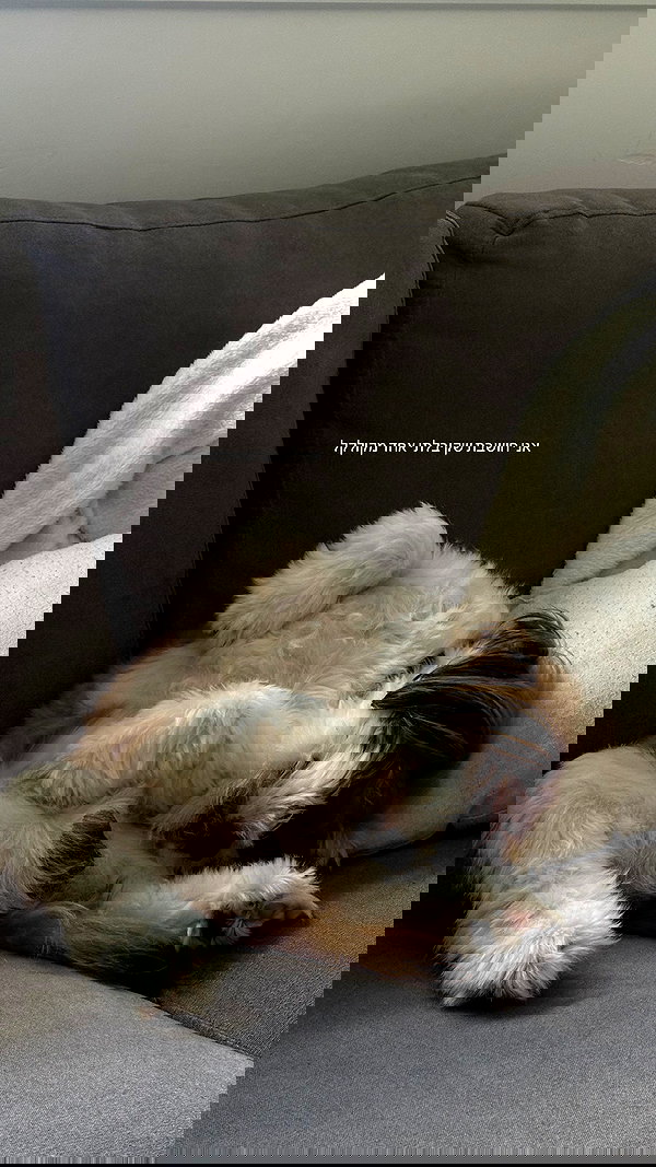 noammalka___ noammalka___ archive image