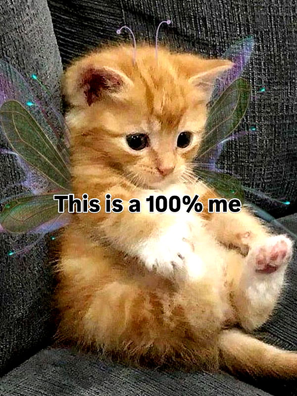 milkibunshehe instagram image archive image