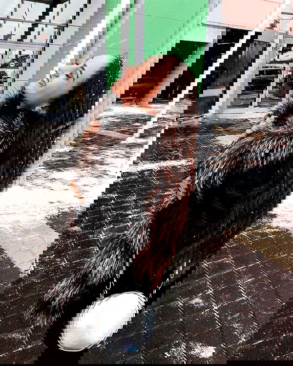 kkulakovaa image ~ Altpins