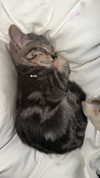 gabbyepstein Altpins Profile Picture
