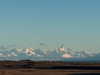 solzarubin_ Altpins Profile Picture