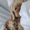 isabellemathersx Altpins Profile Picture