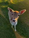 3xiiicom Altpins Profile Picture