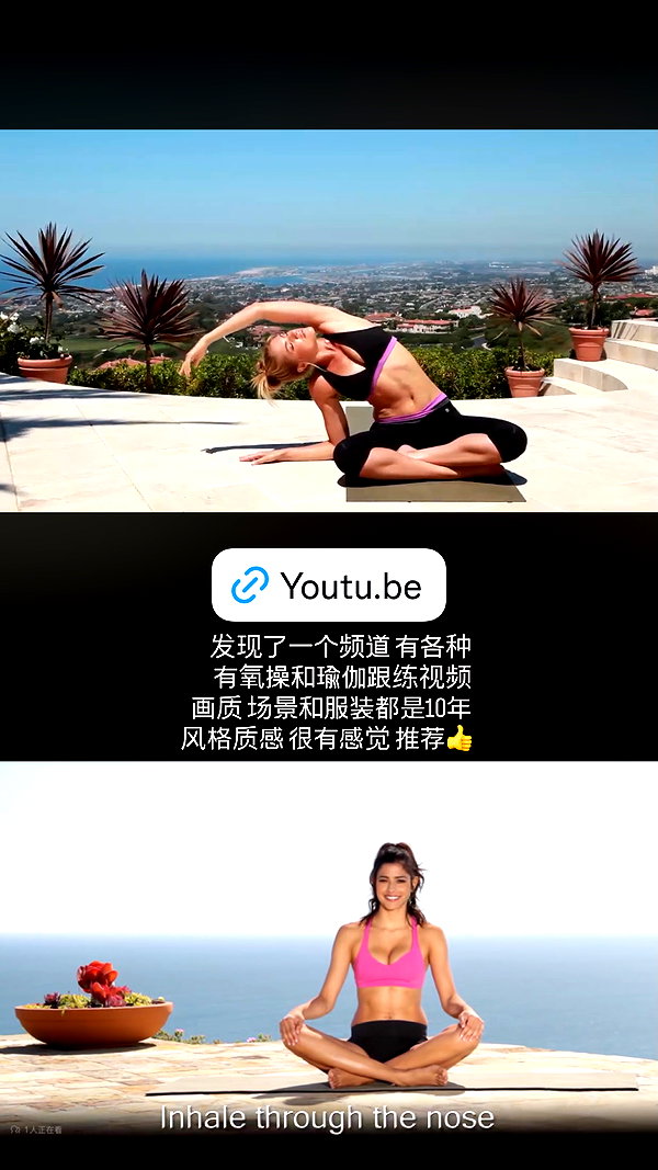 maomao.meeow archive image
