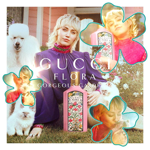 mileycyrus instagram image archive image
